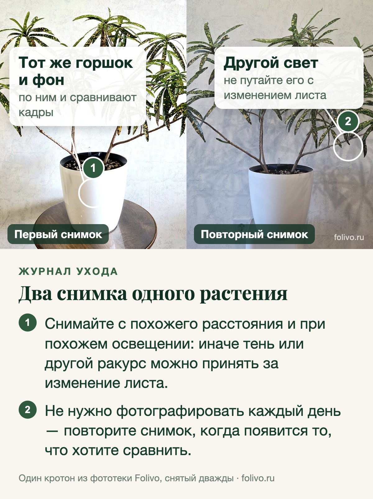 Два снимка одного кротона в белом горшке у той же стены: слева первый снимок при ярком свете, справа повторный при более тусклом. Выноски: 1 — тот же горшок и фон, по ним и сравнивают кадры; 2 — другой свет, не путайте его с изменением листа. Под снимками два пункта: снимайте с похожего расстояния и при похожем освещении, иначе тень или другой ракурс можно принять за изменение листа; не нужно фотографировать каждый день — повторите снимок, когда появится то, что хотите сравнить.